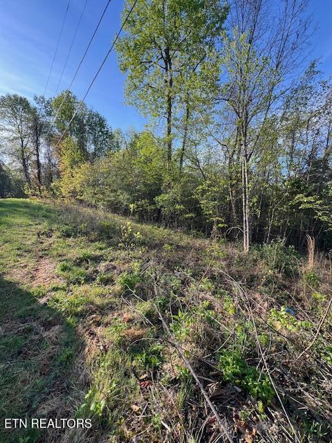 Pine Hollow Road Jacksboro TN 37757