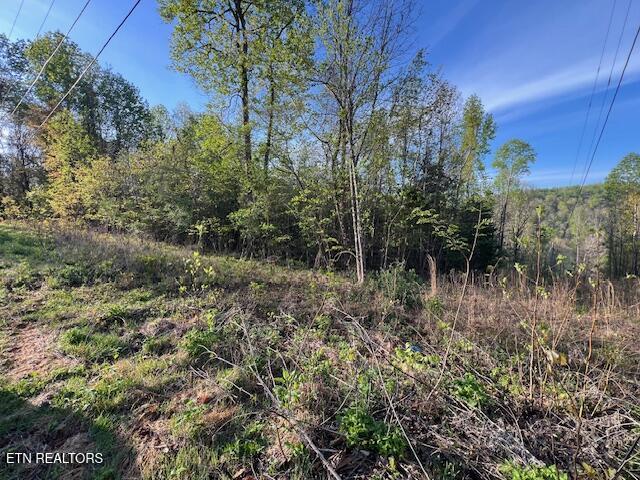 Pine Hollow Road Jacksboro TN 37757