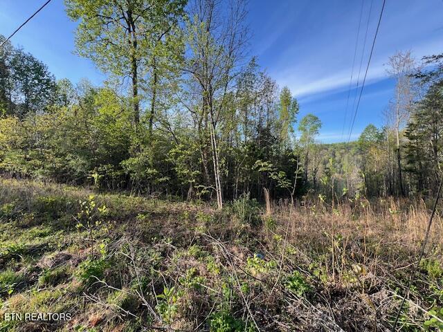 Pine Hollow Road Jacksboro TN 37757
