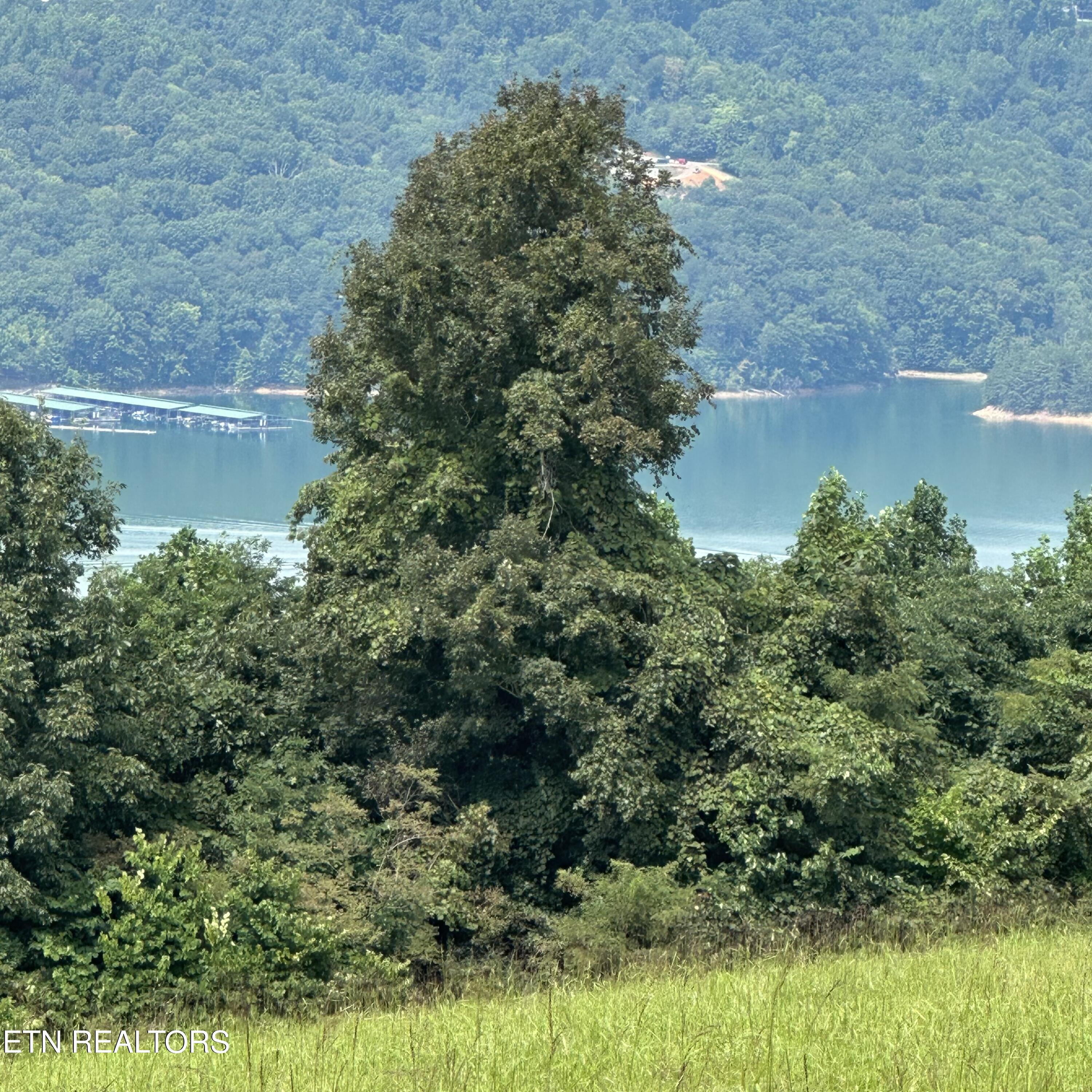 Bob Wright Lot 34 Road Maynardville TN 37807