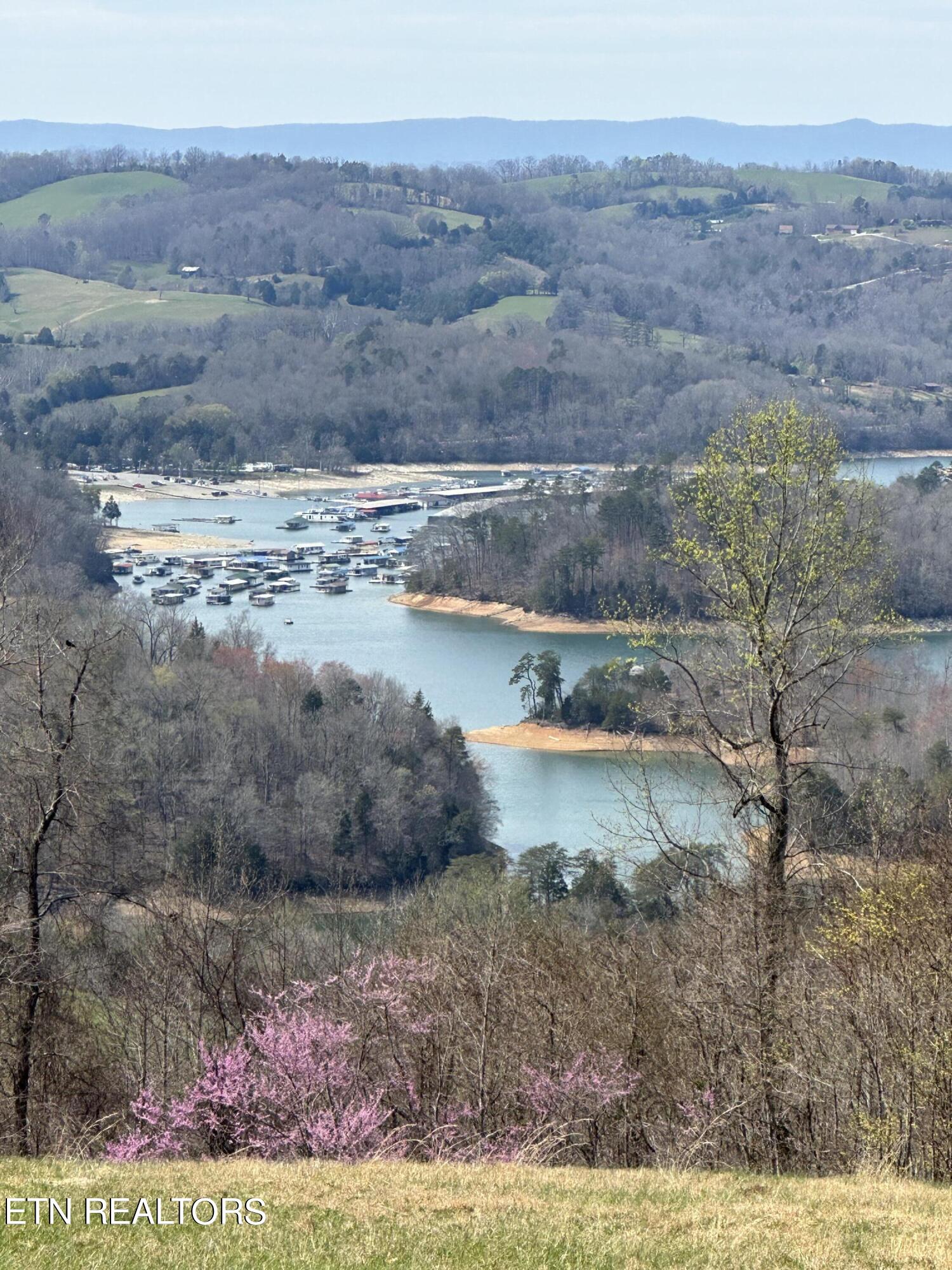 Bob Wright Lot 34 Road Maynardville TN 37807