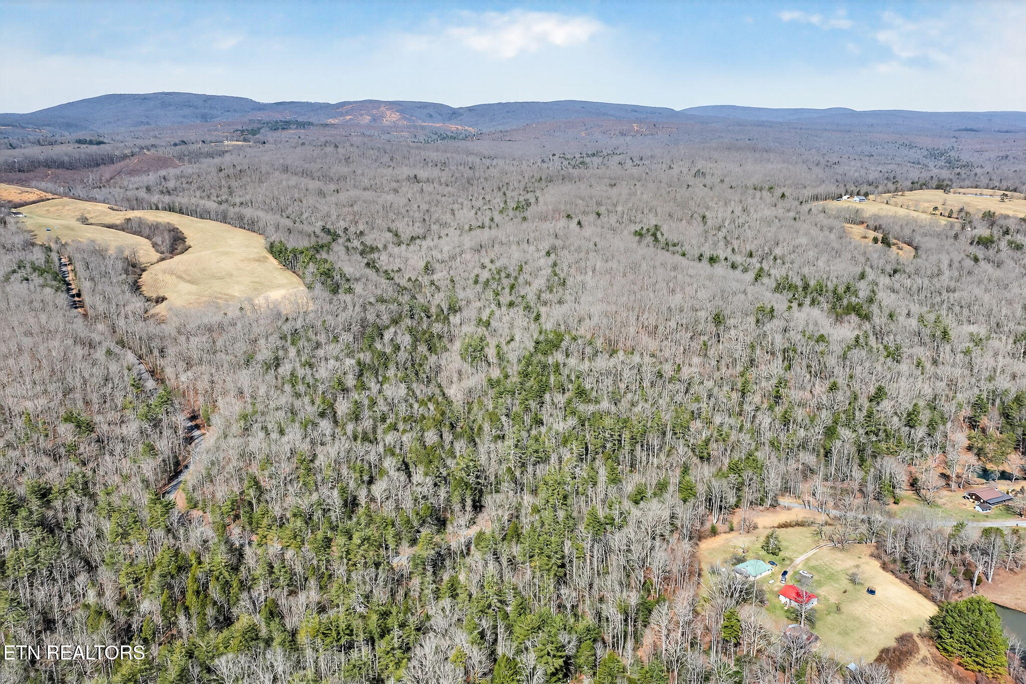 Dogwood Road Grandview TN 37337