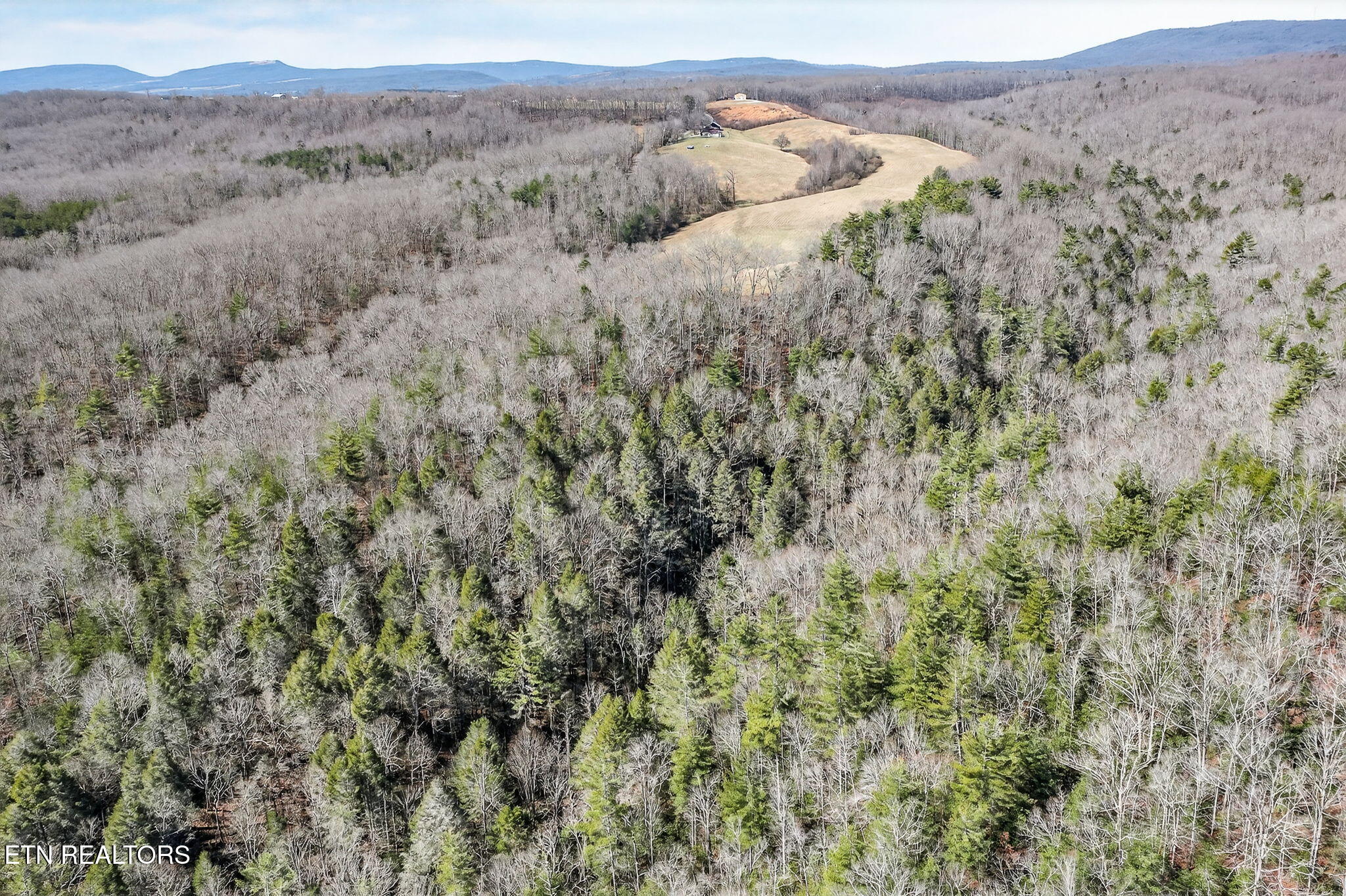 Dogwood Road Grandview TN 37337