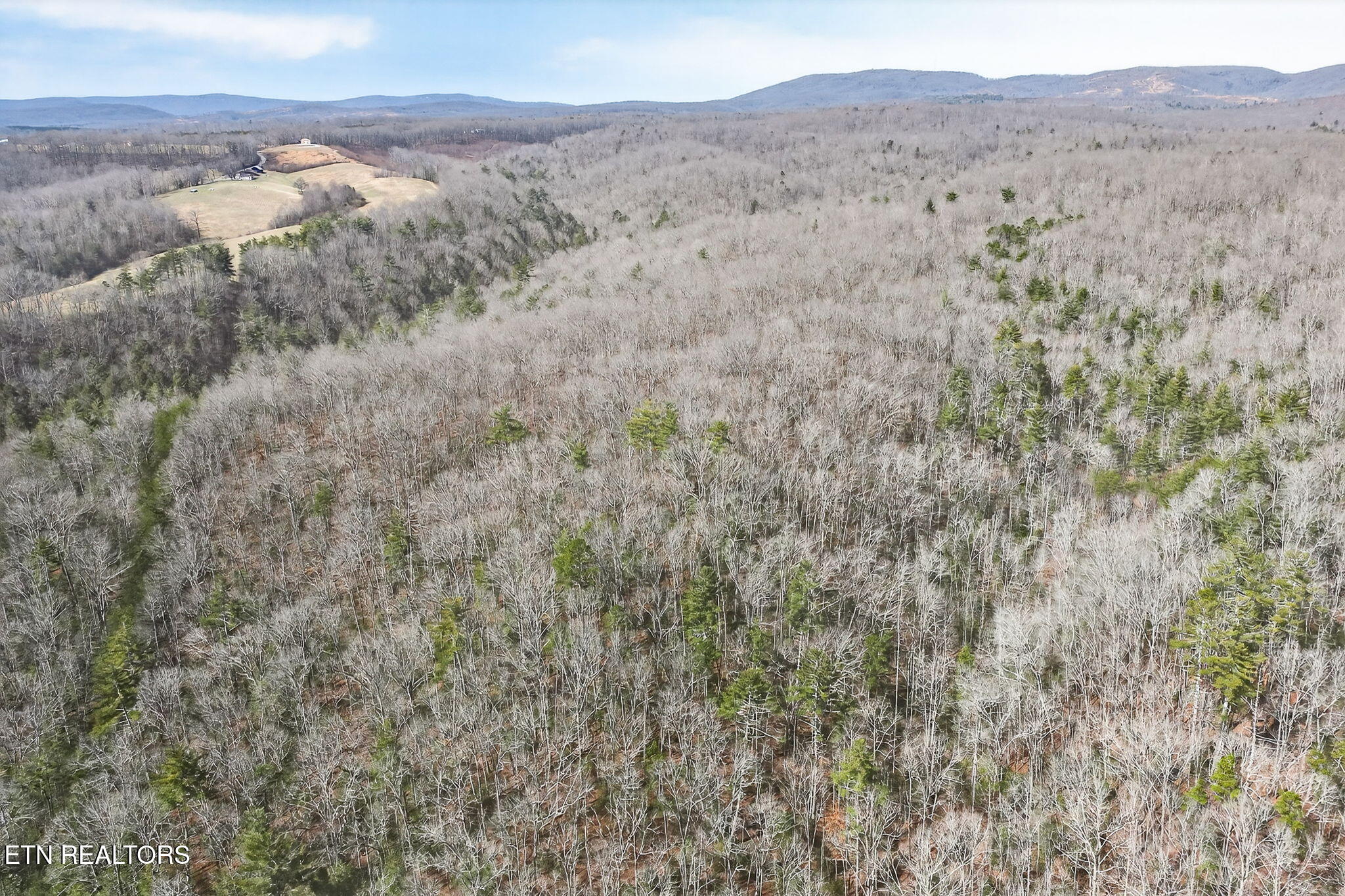 Dogwood Road Grandview TN 37337