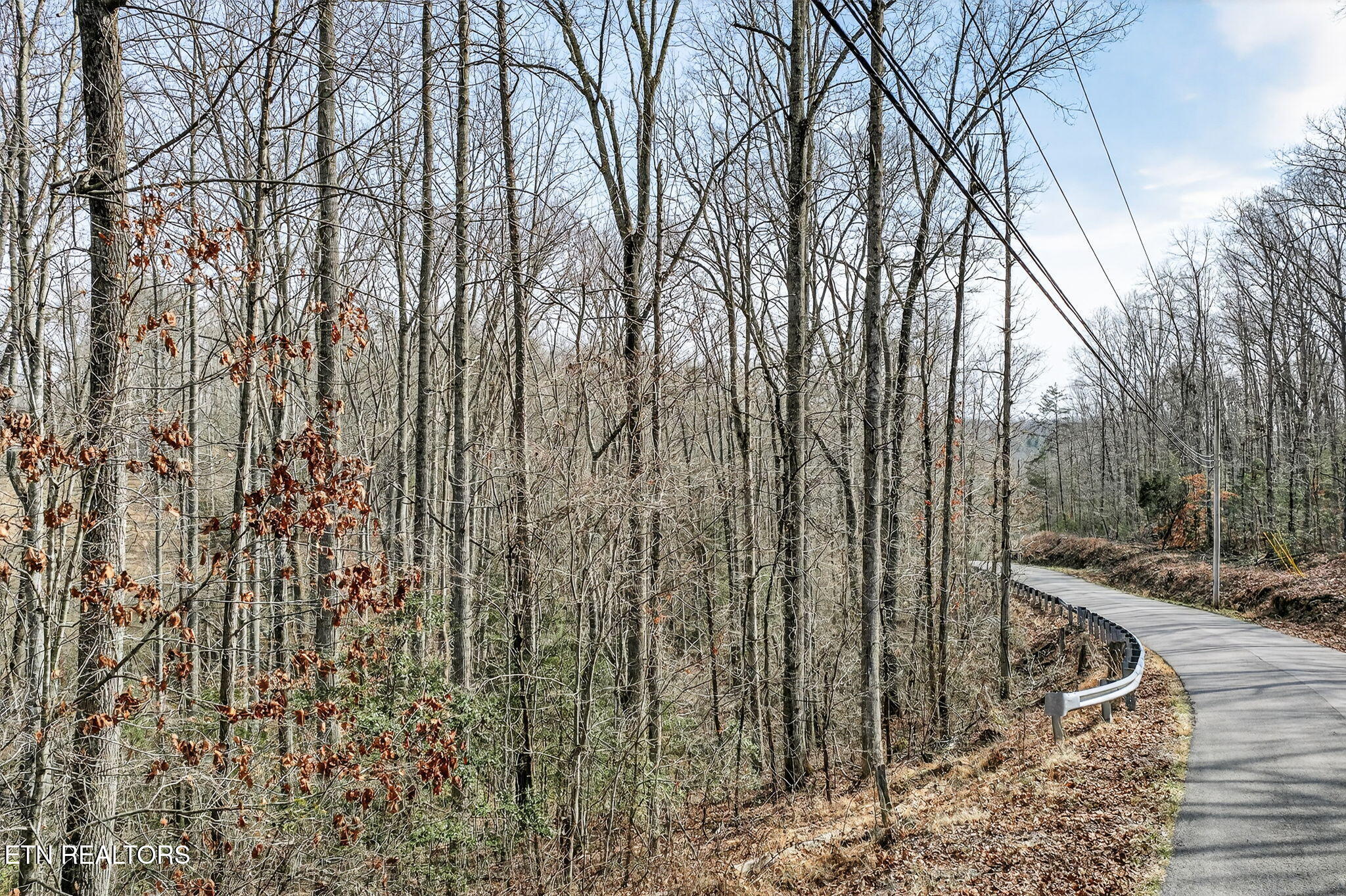 Dogwood Road Grandview TN 37337