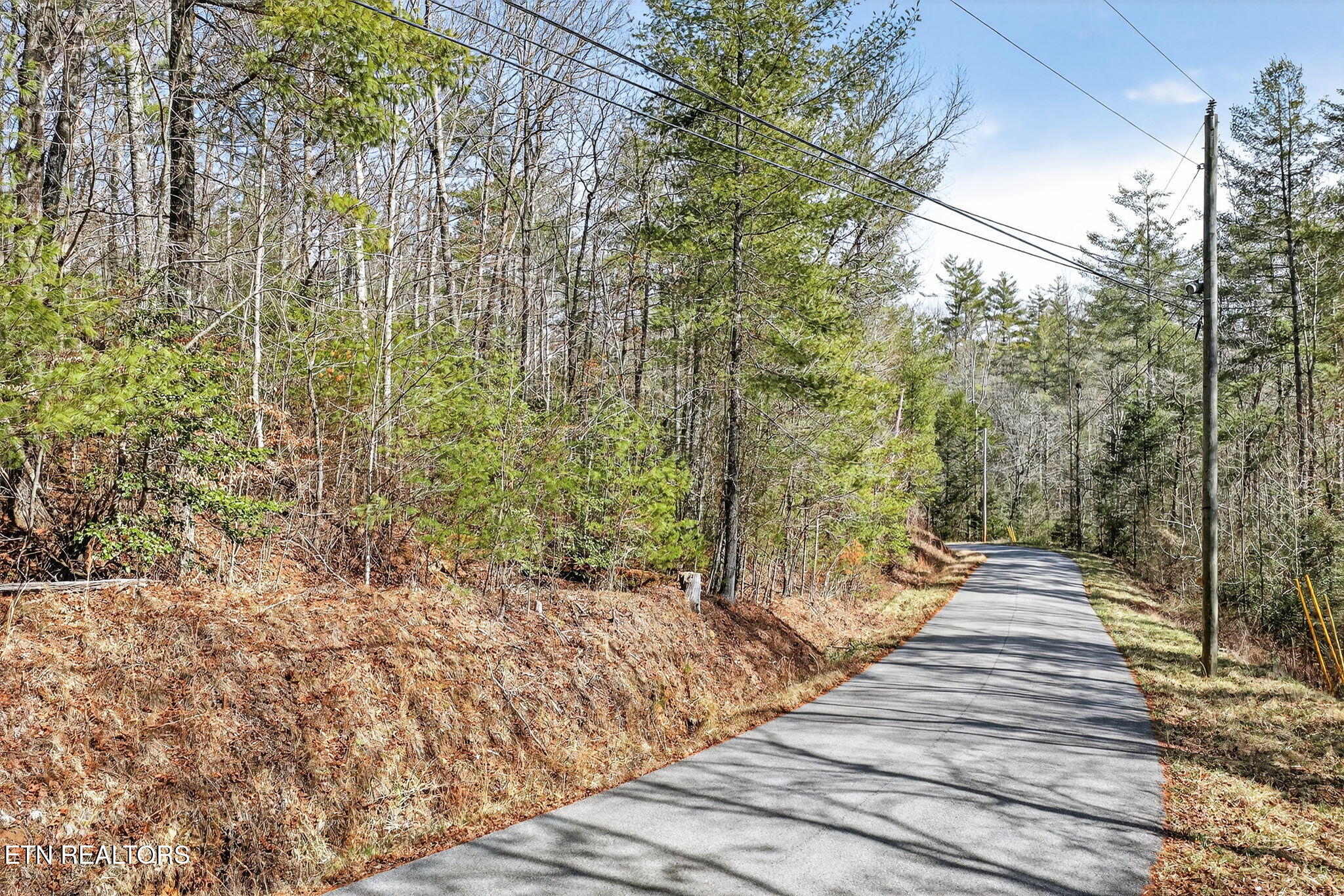 Dogwood Road Grandview TN 37337