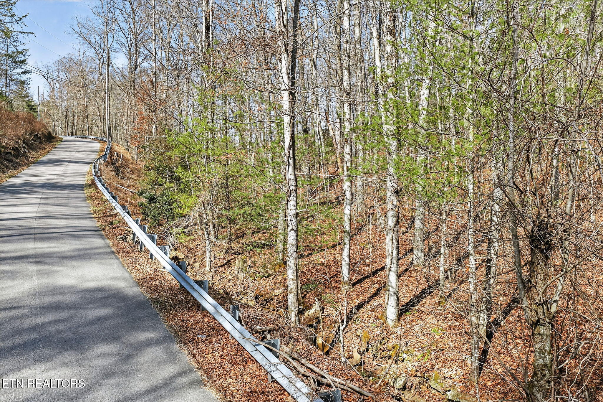 Dogwood Road Grandview TN 37337