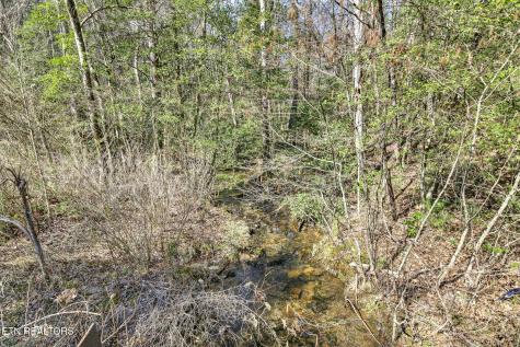 Dogwood Road Grandview TN 37337