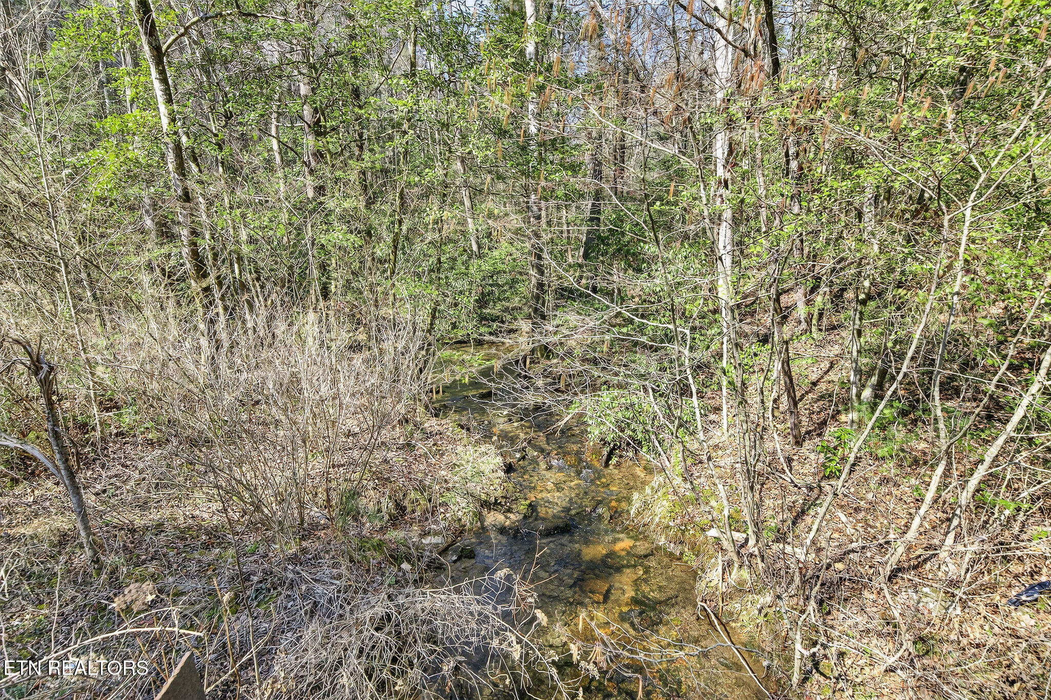 Dogwood Road Grandview TN 37337