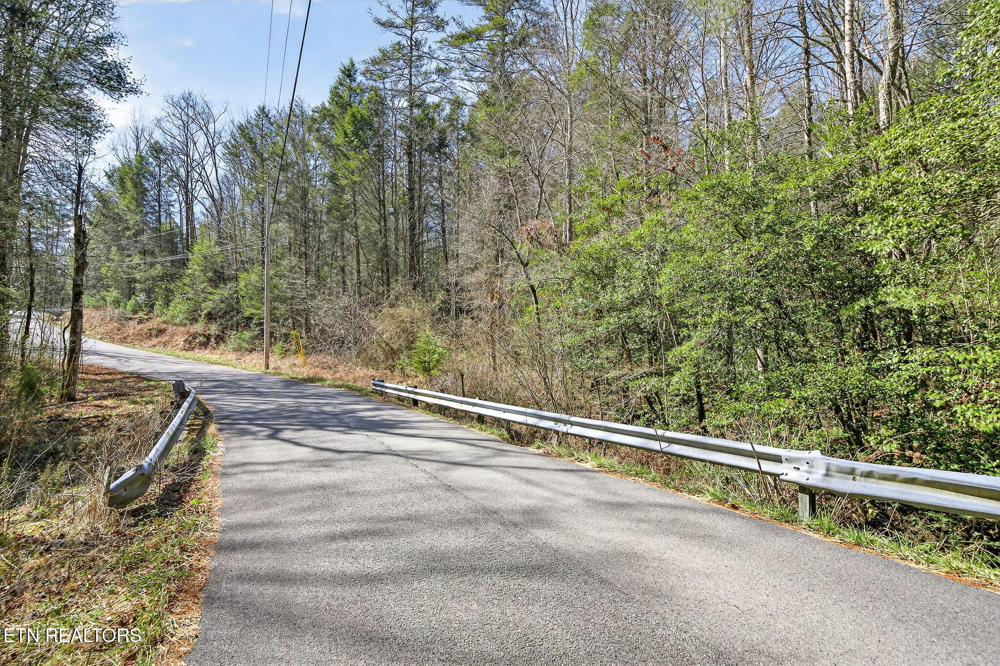 Dogwood Road Grandview TN 37337