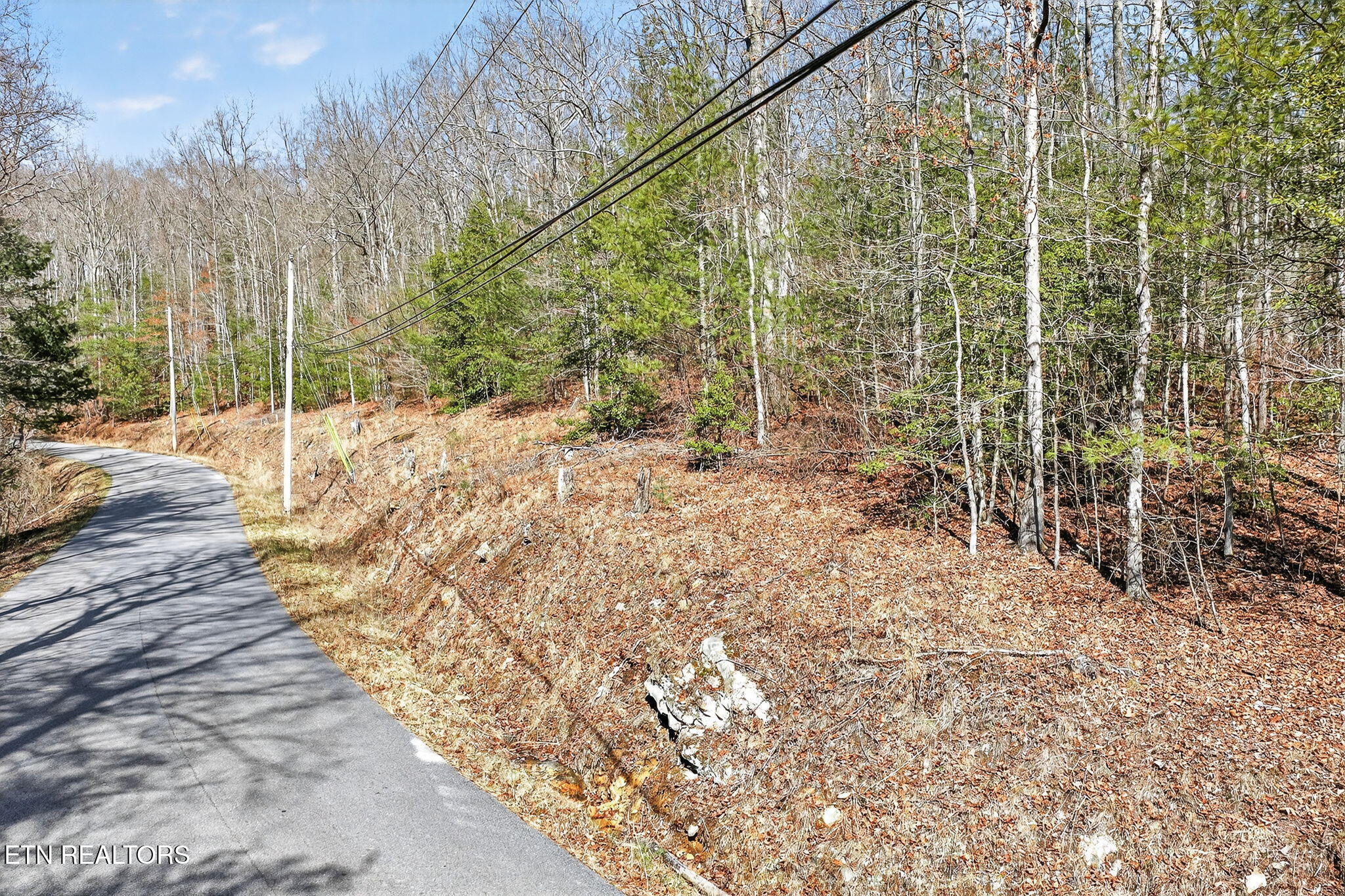 Dogwood Road Grandview TN 37337