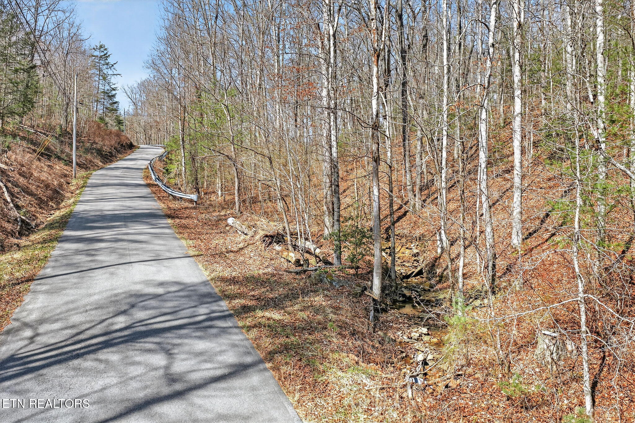 Dogwood Road Grandview TN 37337