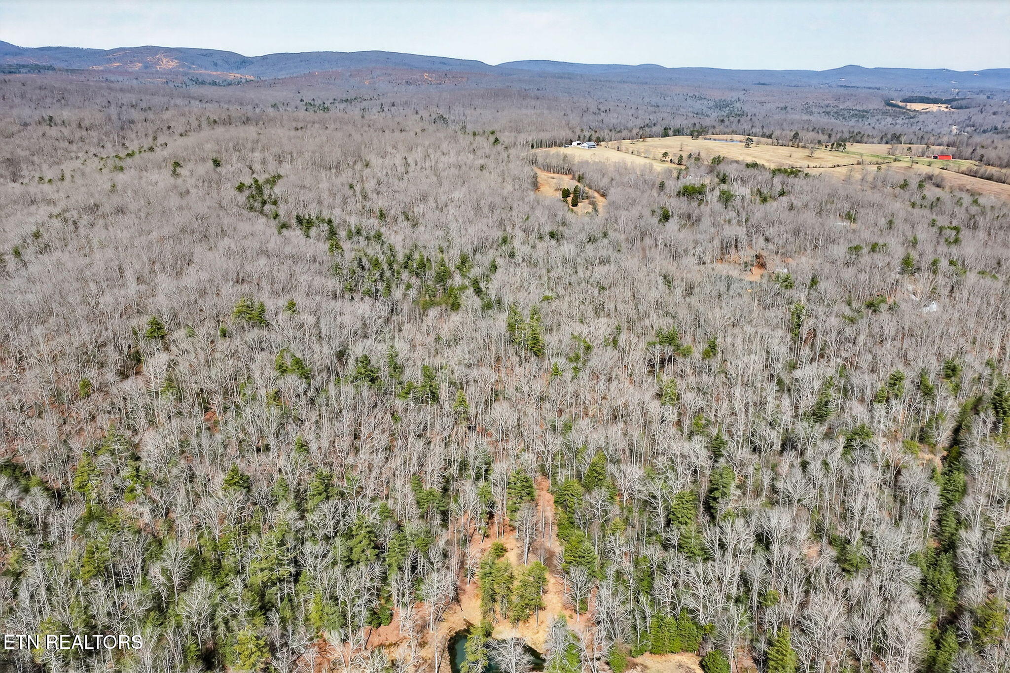 Dogwood Road Grandview TN 37337