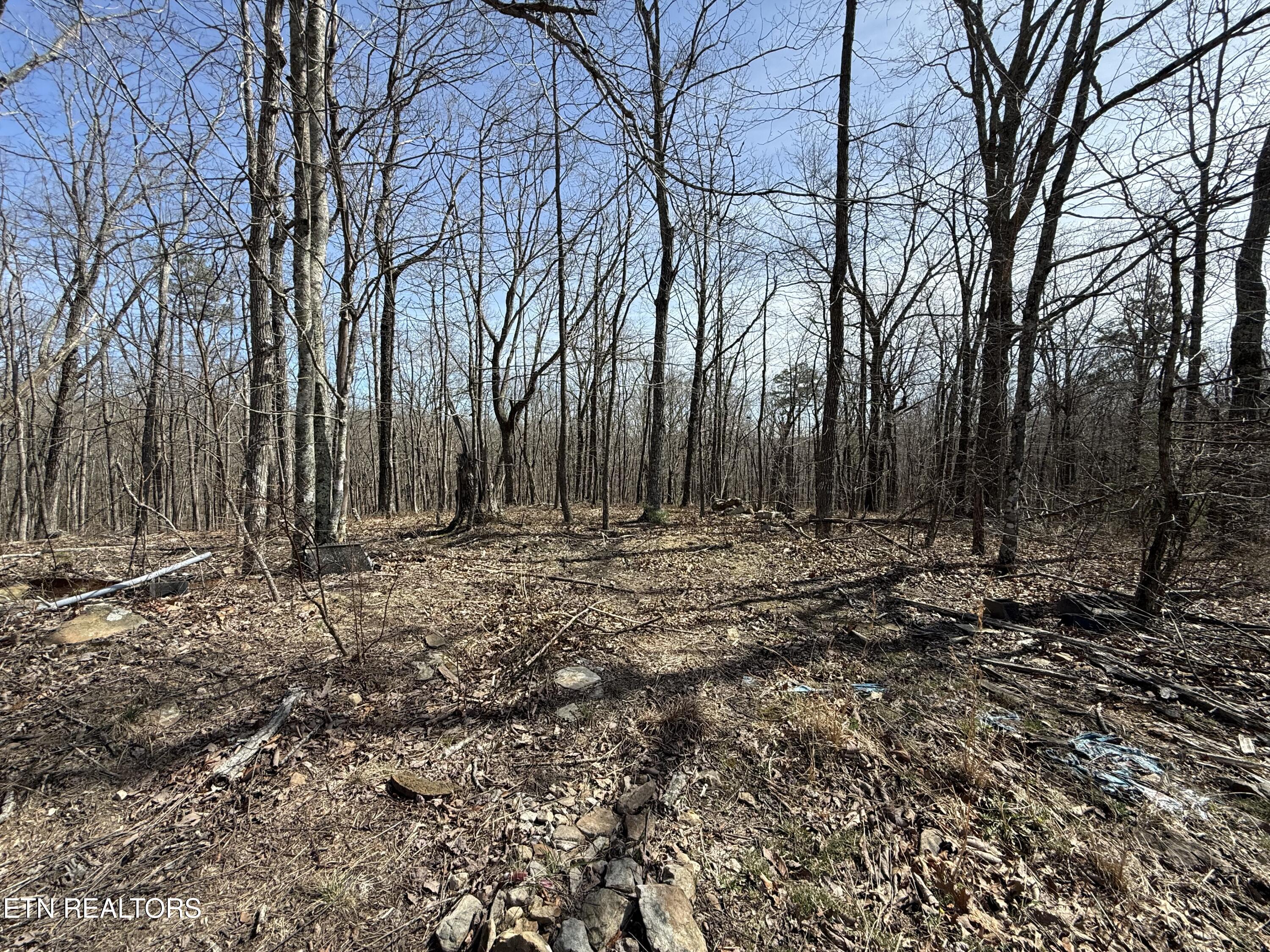 Lot 69 W Log Road Spring City TN 37381