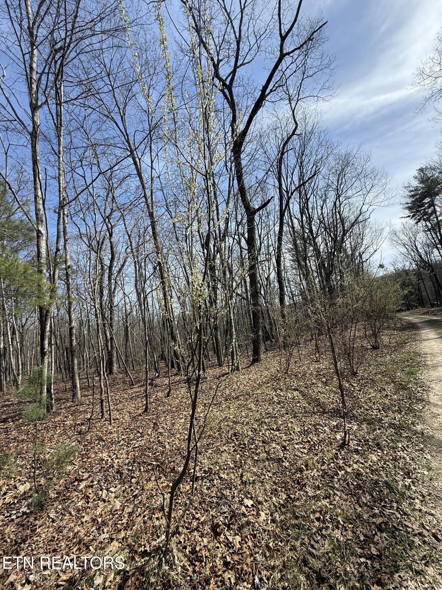 Lot 69 W Log Road Spring City TN 37381