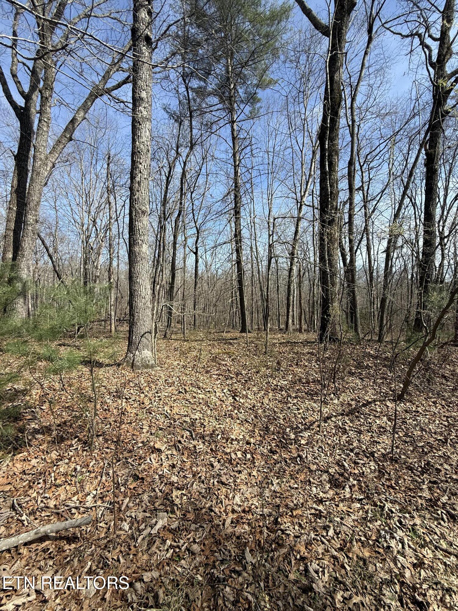 Lot 69 W Log Road Spring City TN 37381