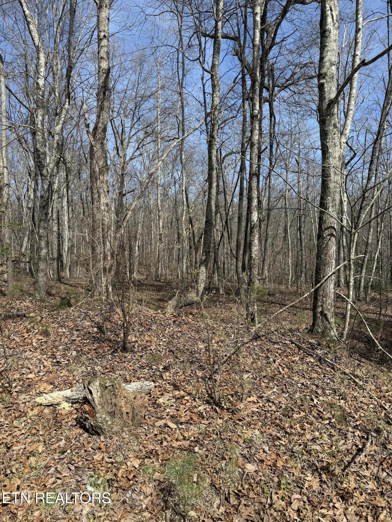 Lot 69 W Log Road Spring City TN 37381