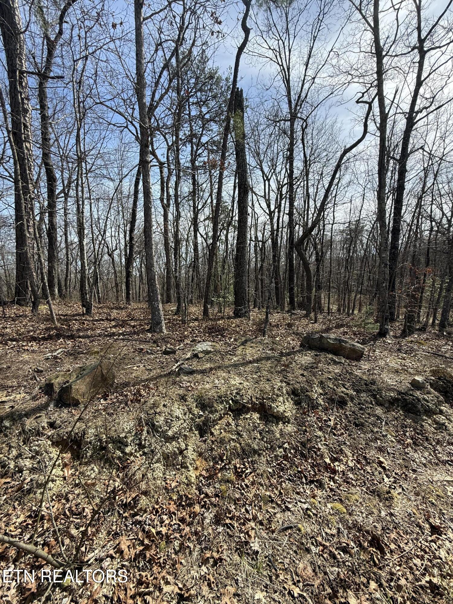 Lot 69 W Log Road Spring City TN 37381