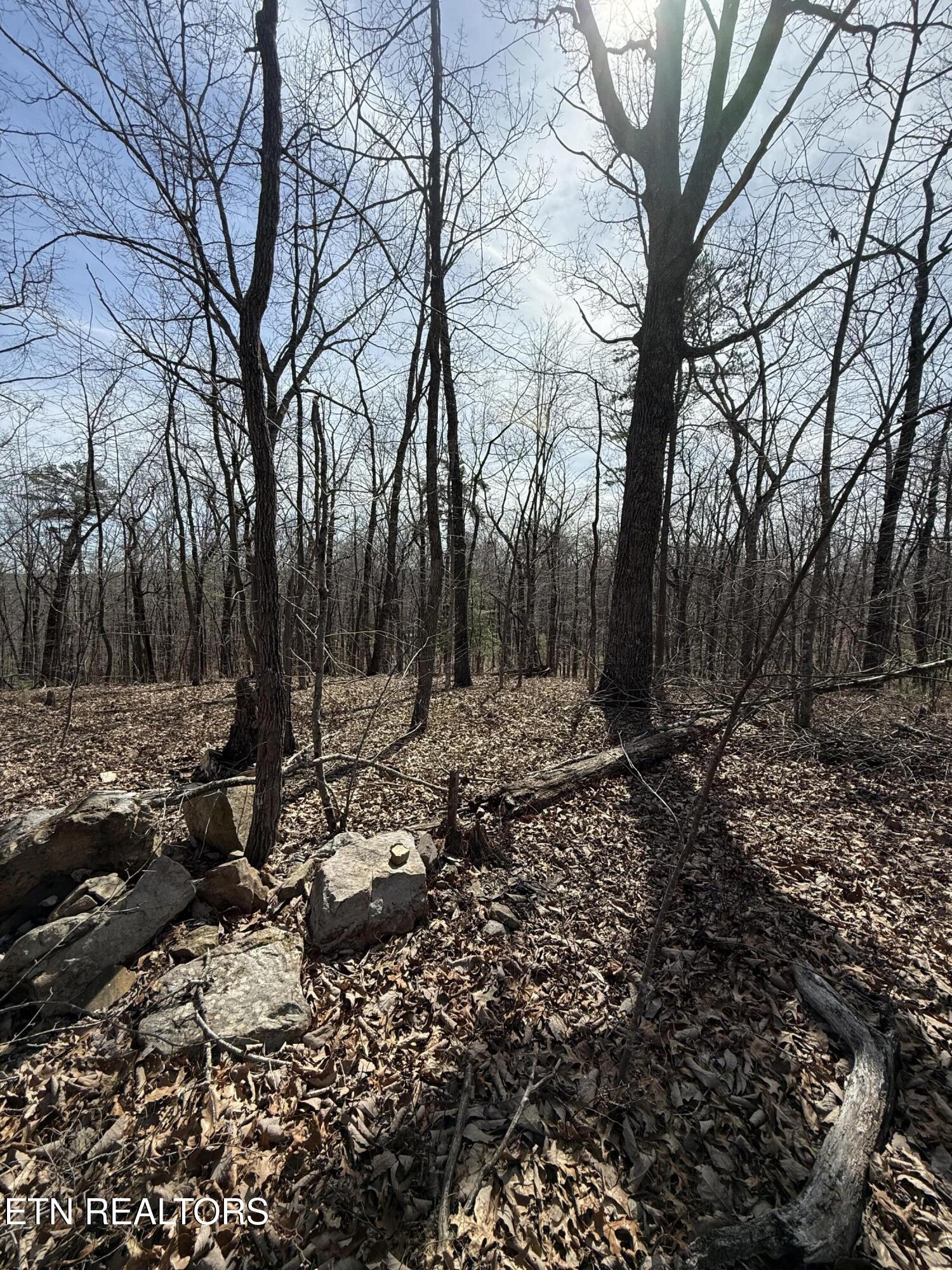 Lot 69 W Log Road Spring City TN 37381