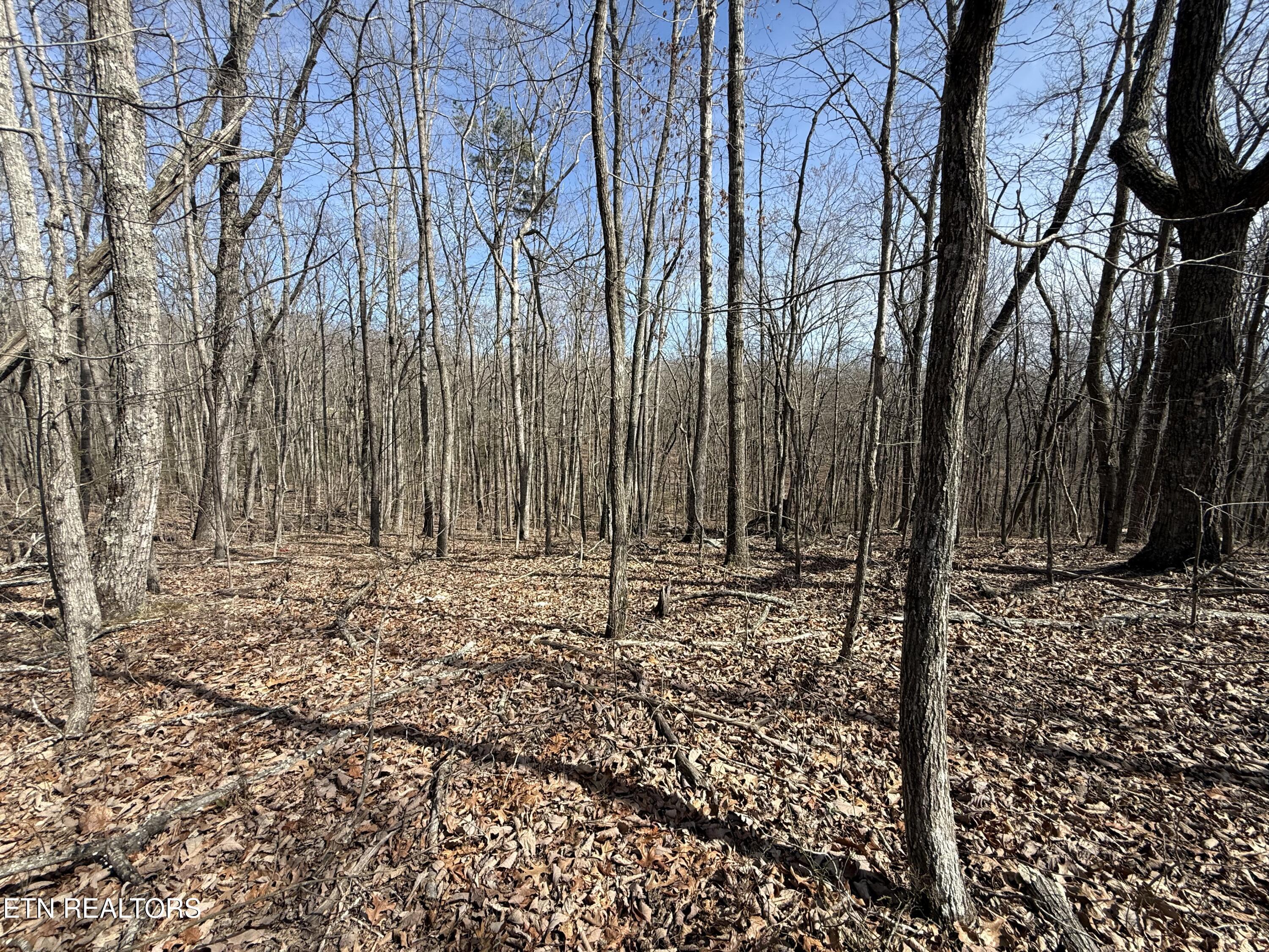 Lot 69 W Log Road Spring City TN 37381