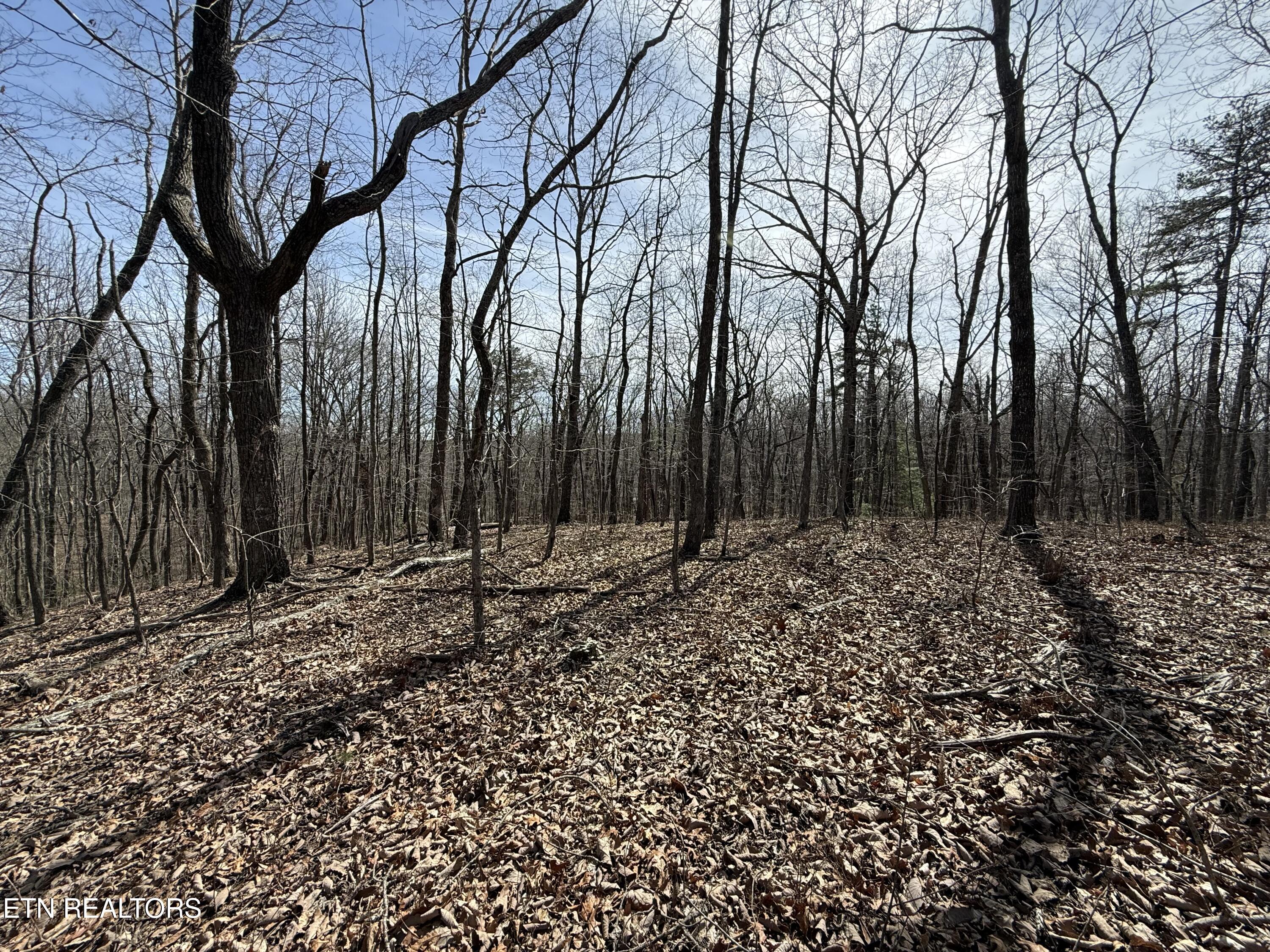Lot 69 W Log Road Spring City TN 37381