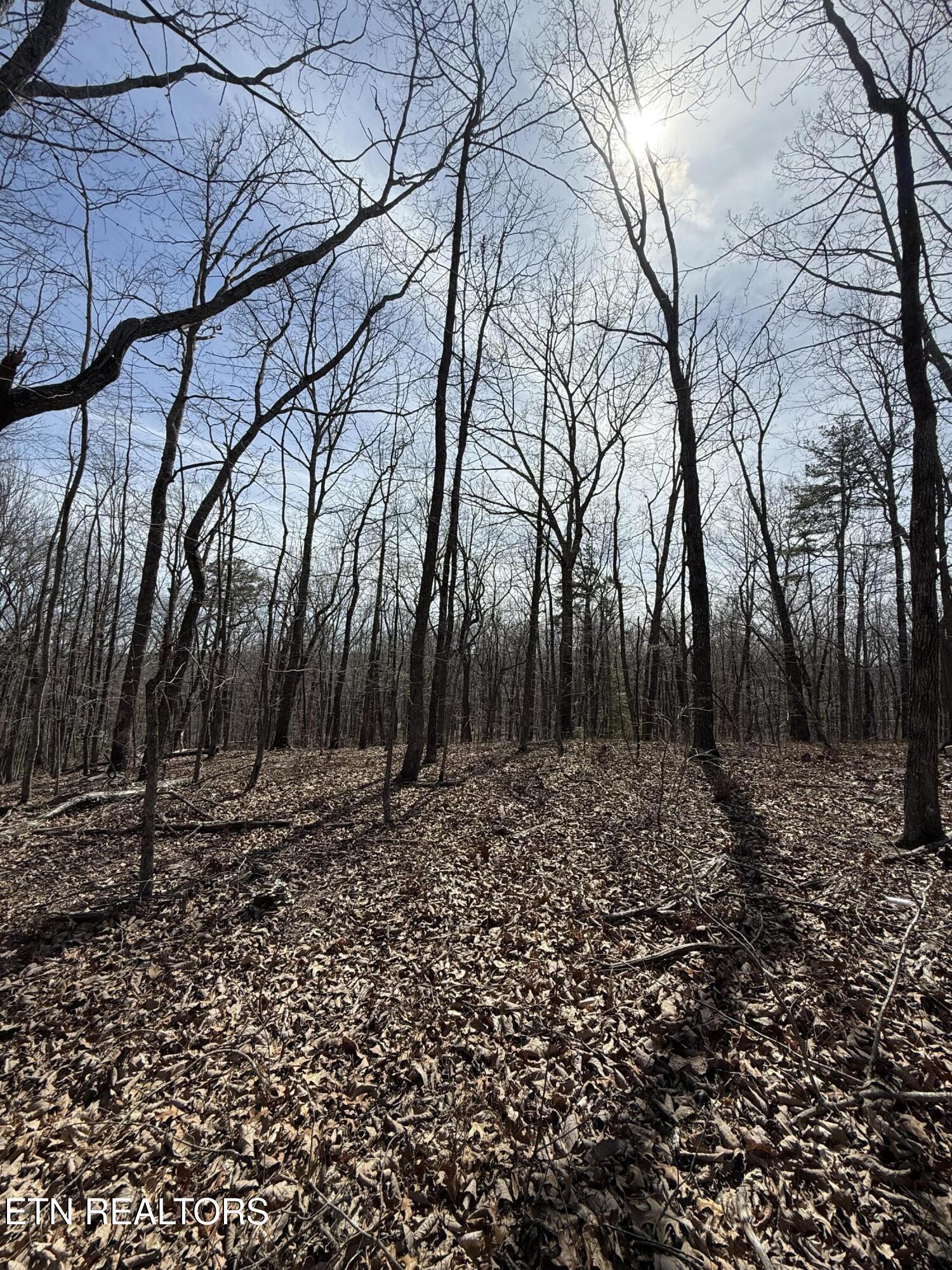 Lot 69 W Log Road Spring City TN 37381