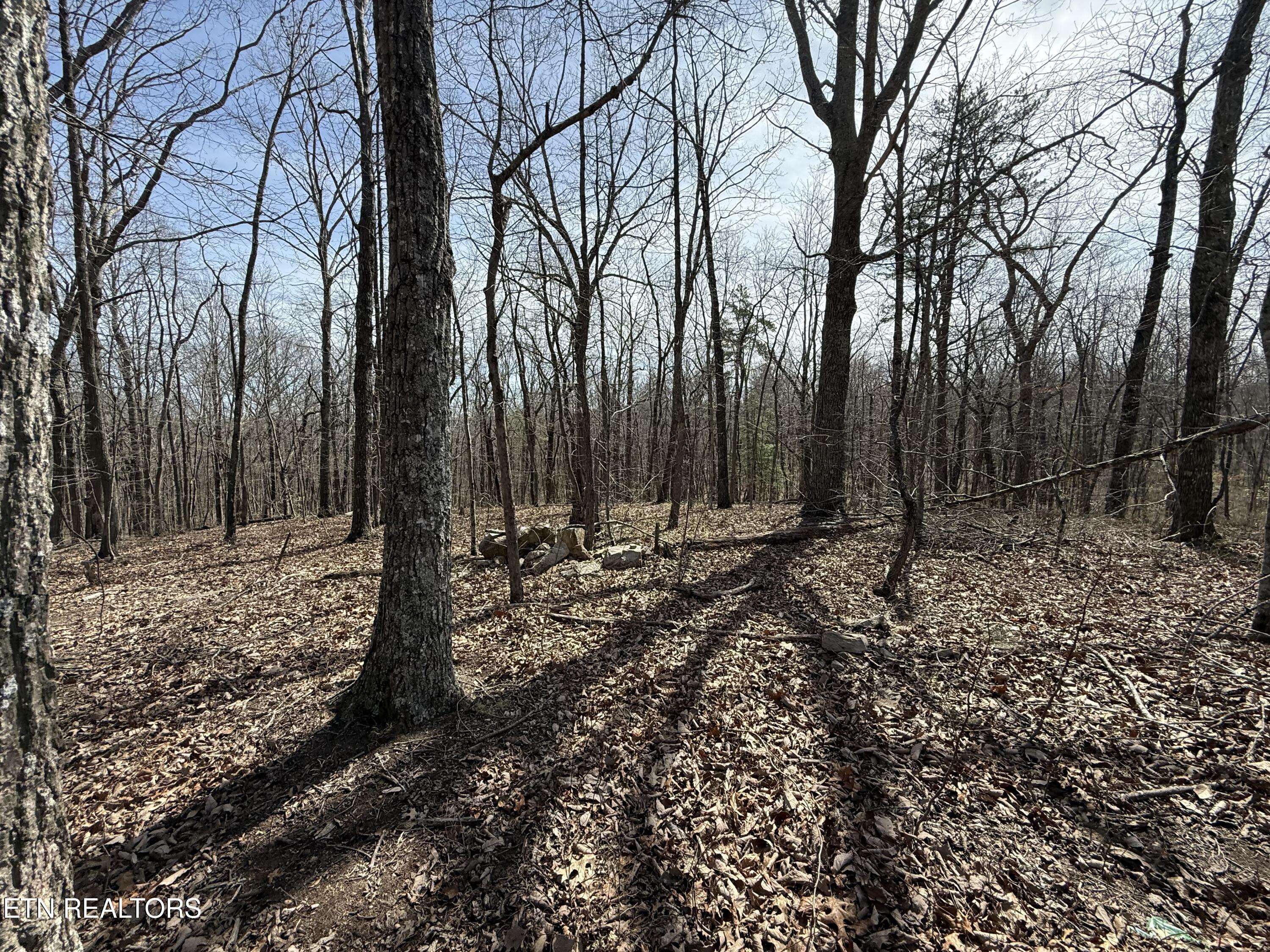 Lot 69 W Log Road Spring City TN 37381