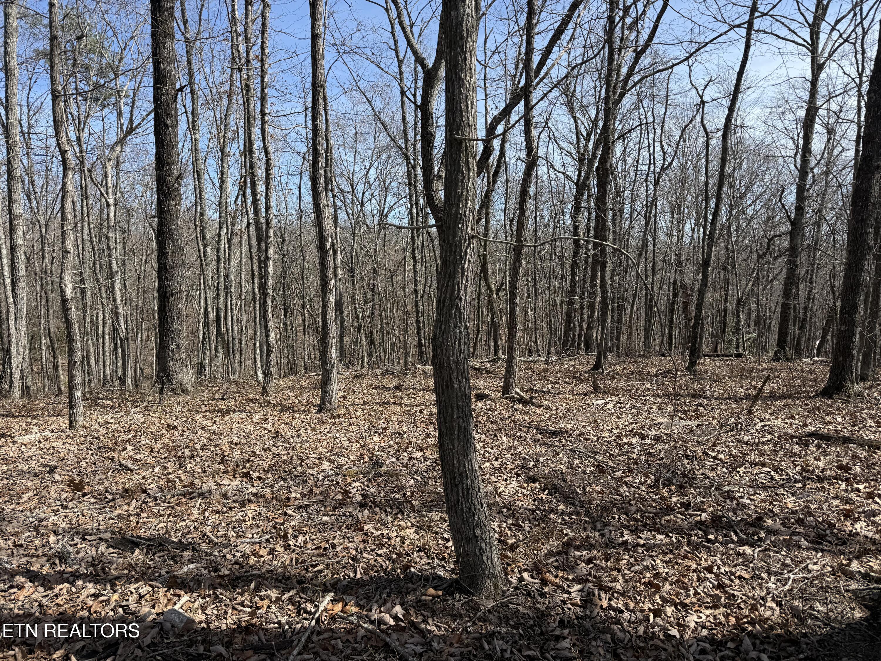 Lot 69 W Log Road Spring City TN 37381