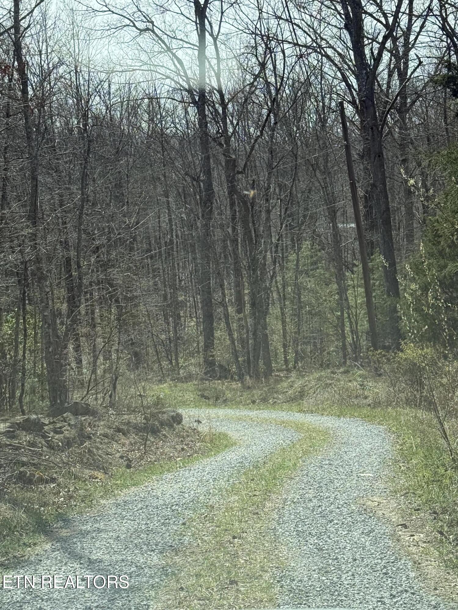 Lot 69 W Log Road Spring City TN 37381