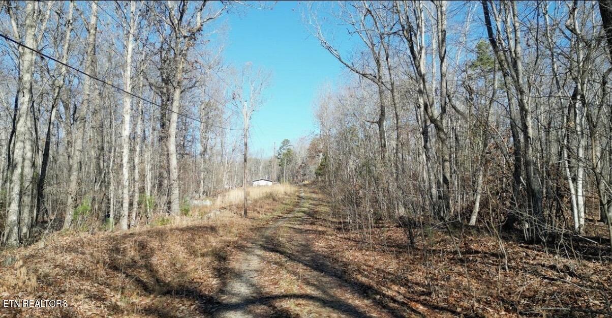 Lot 69 W Log Road Spring City TN 37381