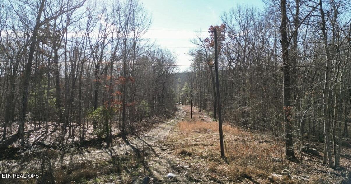 Lot 69 W Log Road Spring City TN 37381