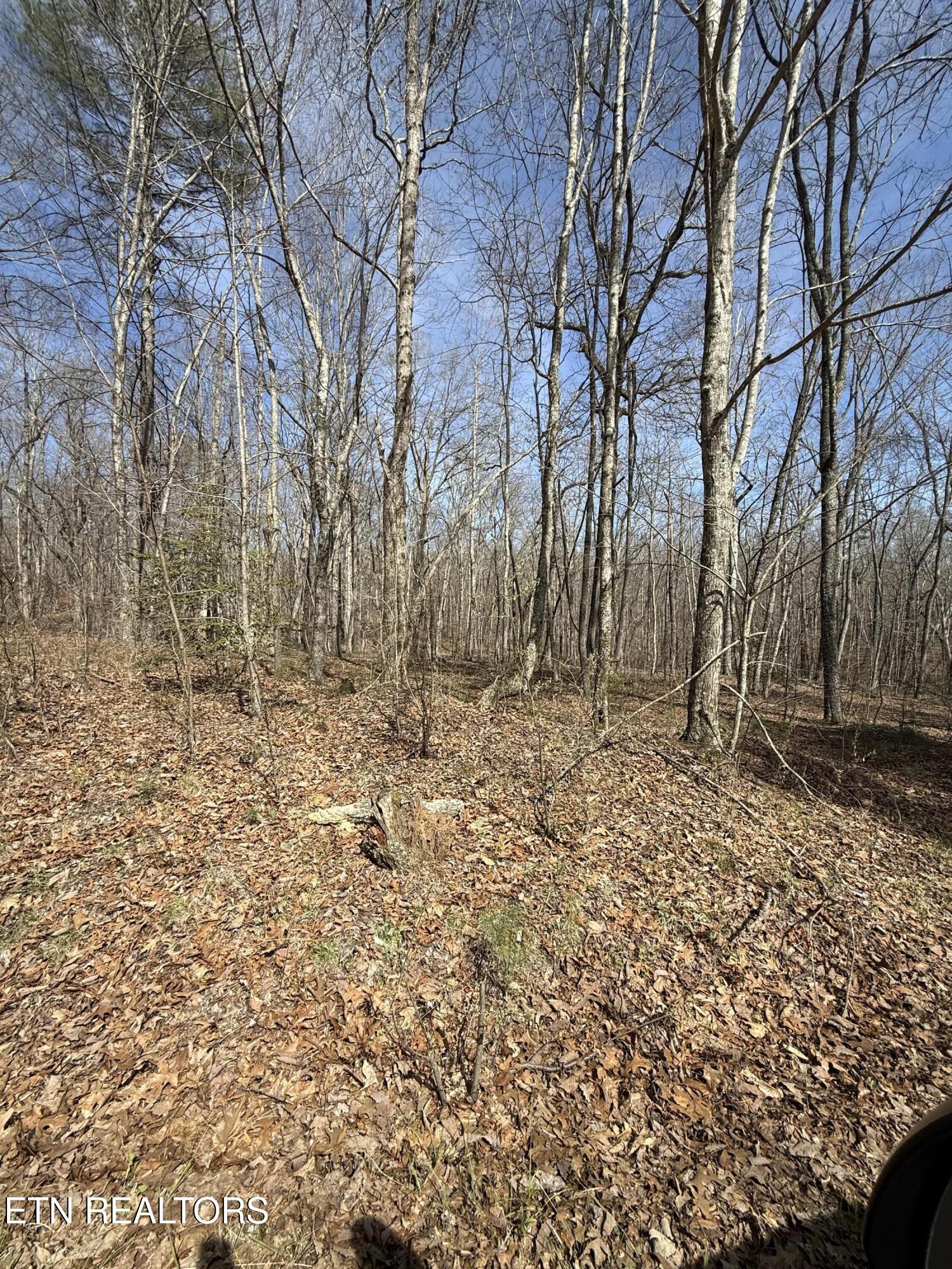 Lot 69 W Log Road Spring City TN 37381