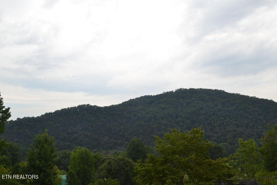 Highway 73 Lot 79/80 Townsend TN 37882
