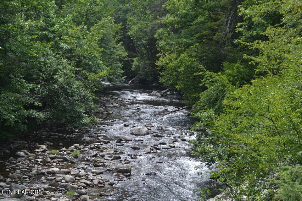 Highway 73 Lot 79/80 Townsend TN 37882