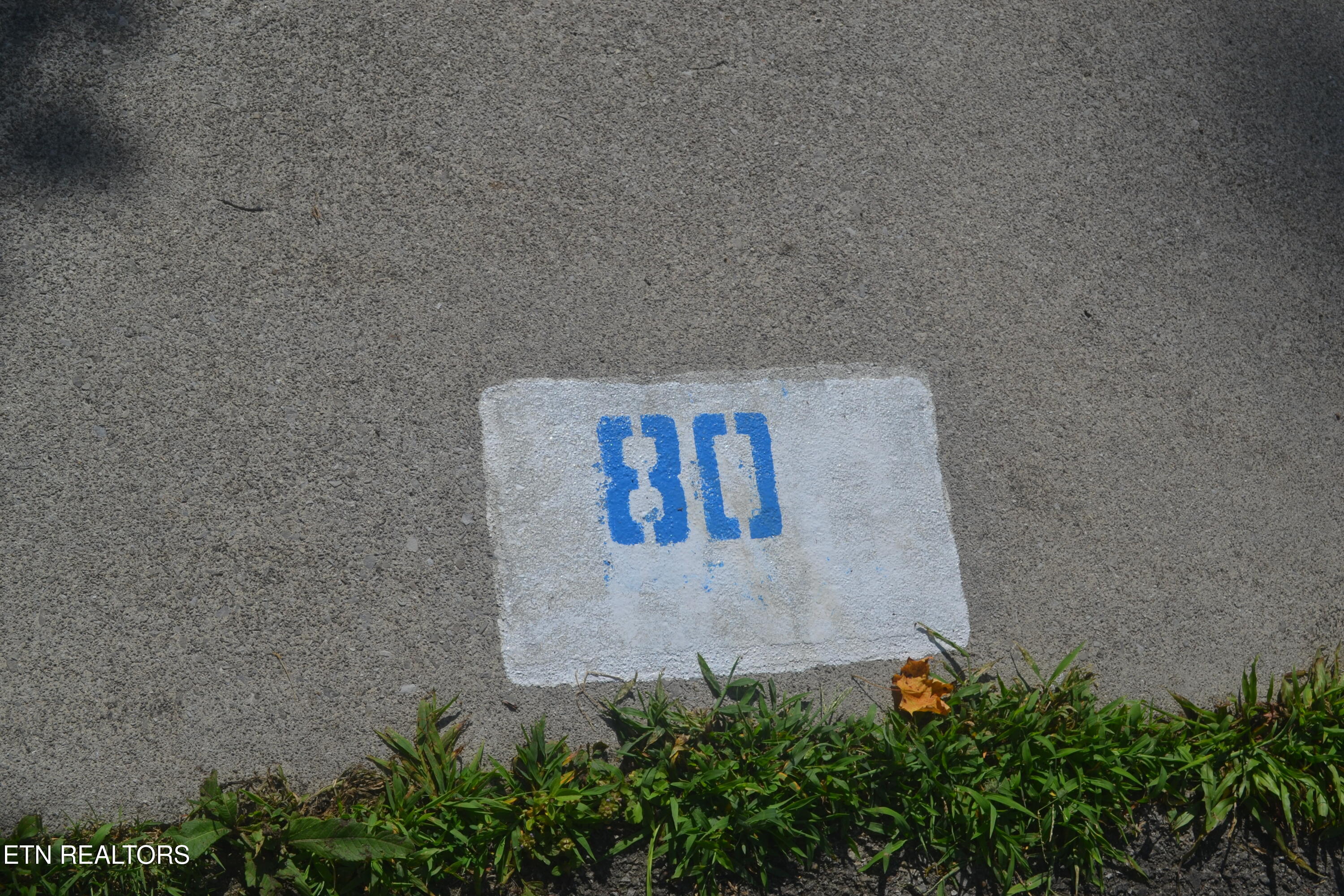 Highway 73 Lot 79/80 Townsend TN 37882