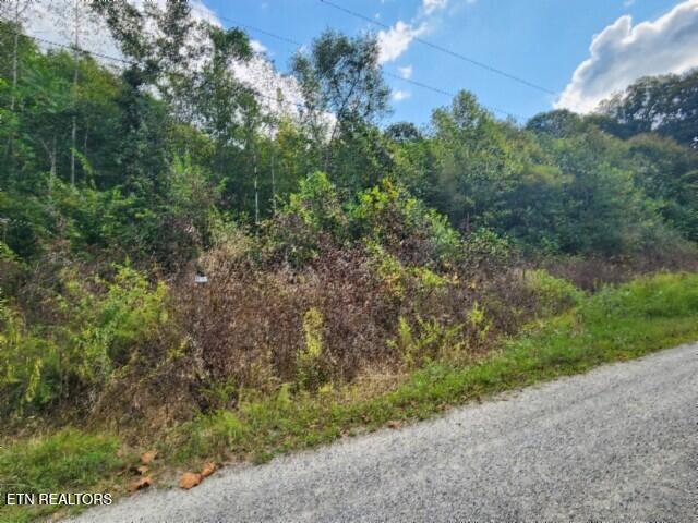 Lot 20 Apache Road Jamestown TN 38556