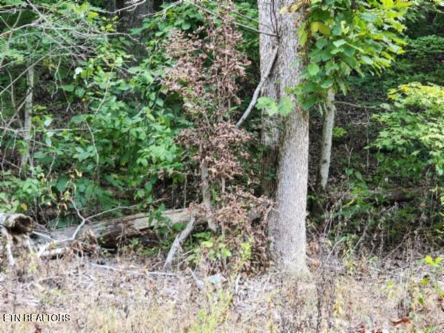Lot 20 Apache Road Jamestown TN 38556
