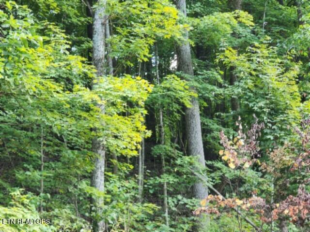 Lot 20 Apache Road Jamestown TN 38556