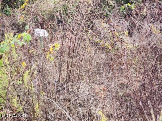Lot 20 Apache Road Jamestown TN 38556