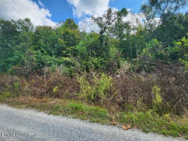 Lot 20 Apache Road Jamestown TN 38556