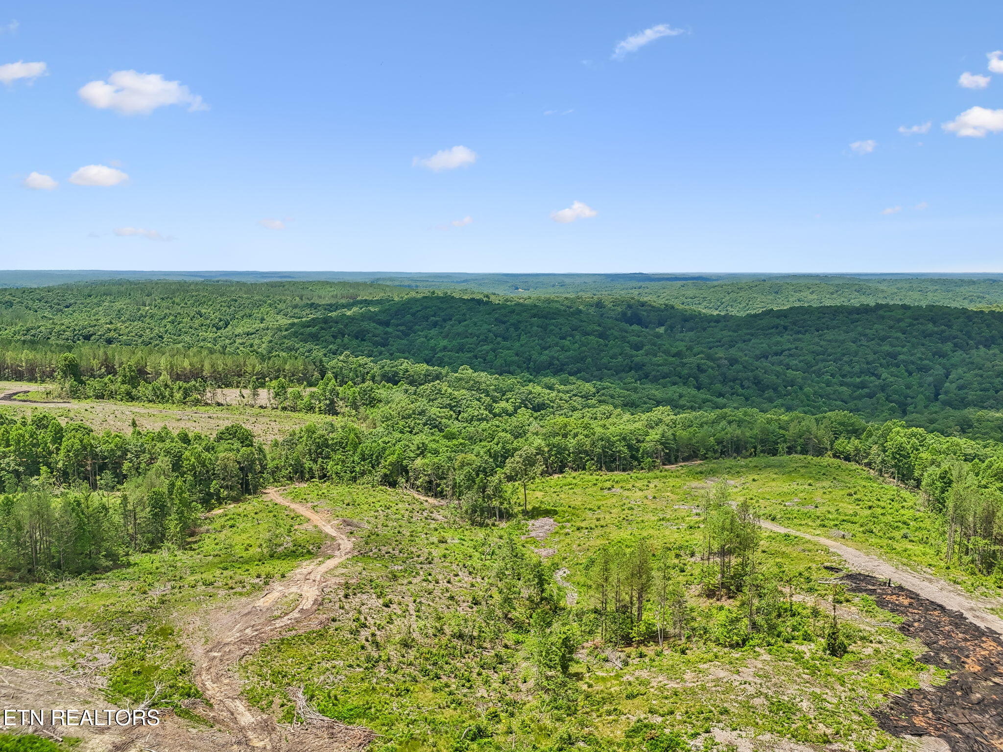 Nydeck Road Robbins TN 37852