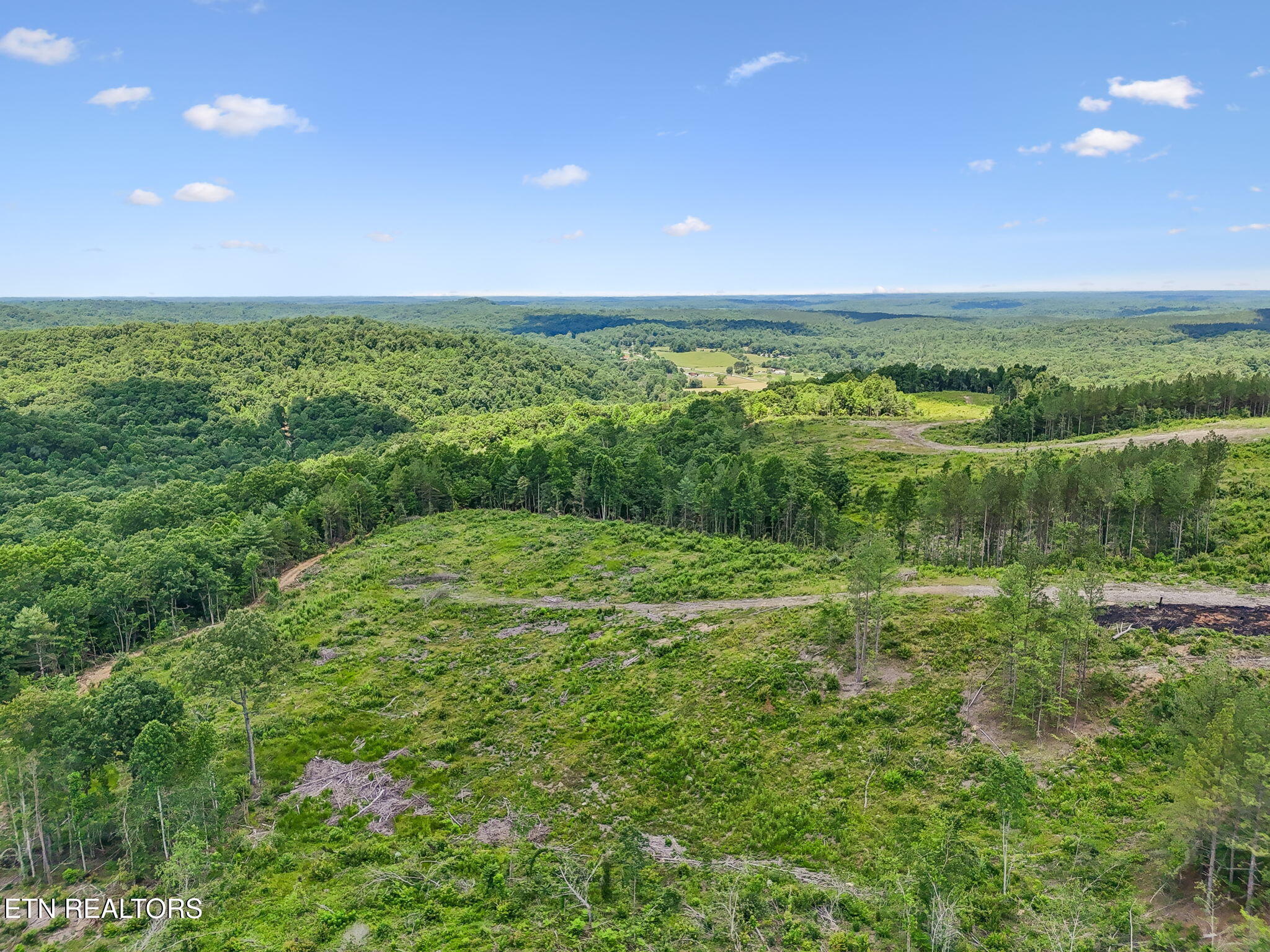 Nydeck Road Robbins TN 37852