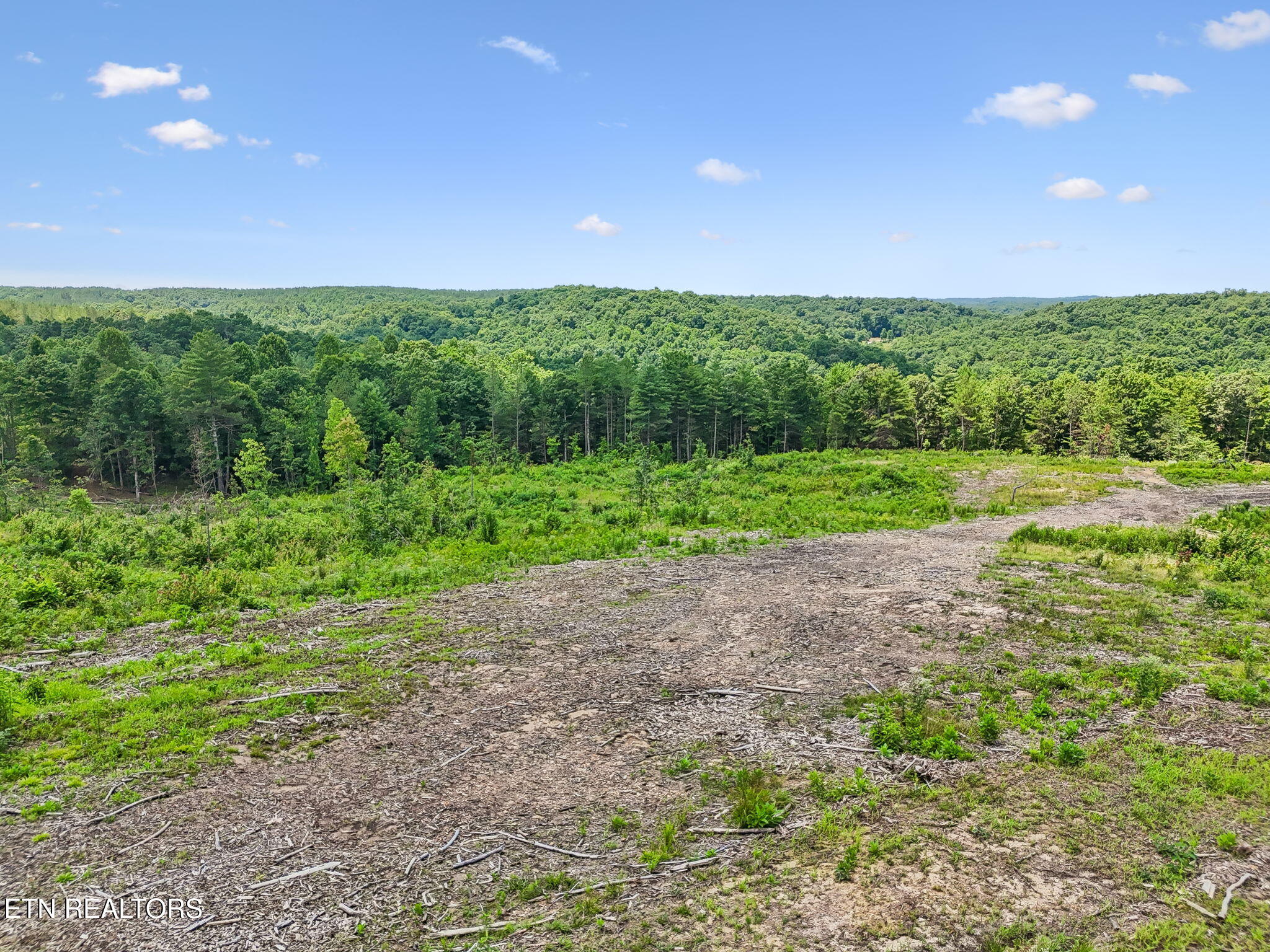Nydeck Road Robbins TN 37852