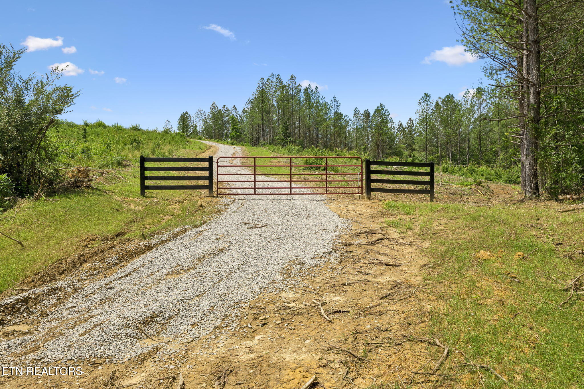 Nydeck Road Robbins TN 37852