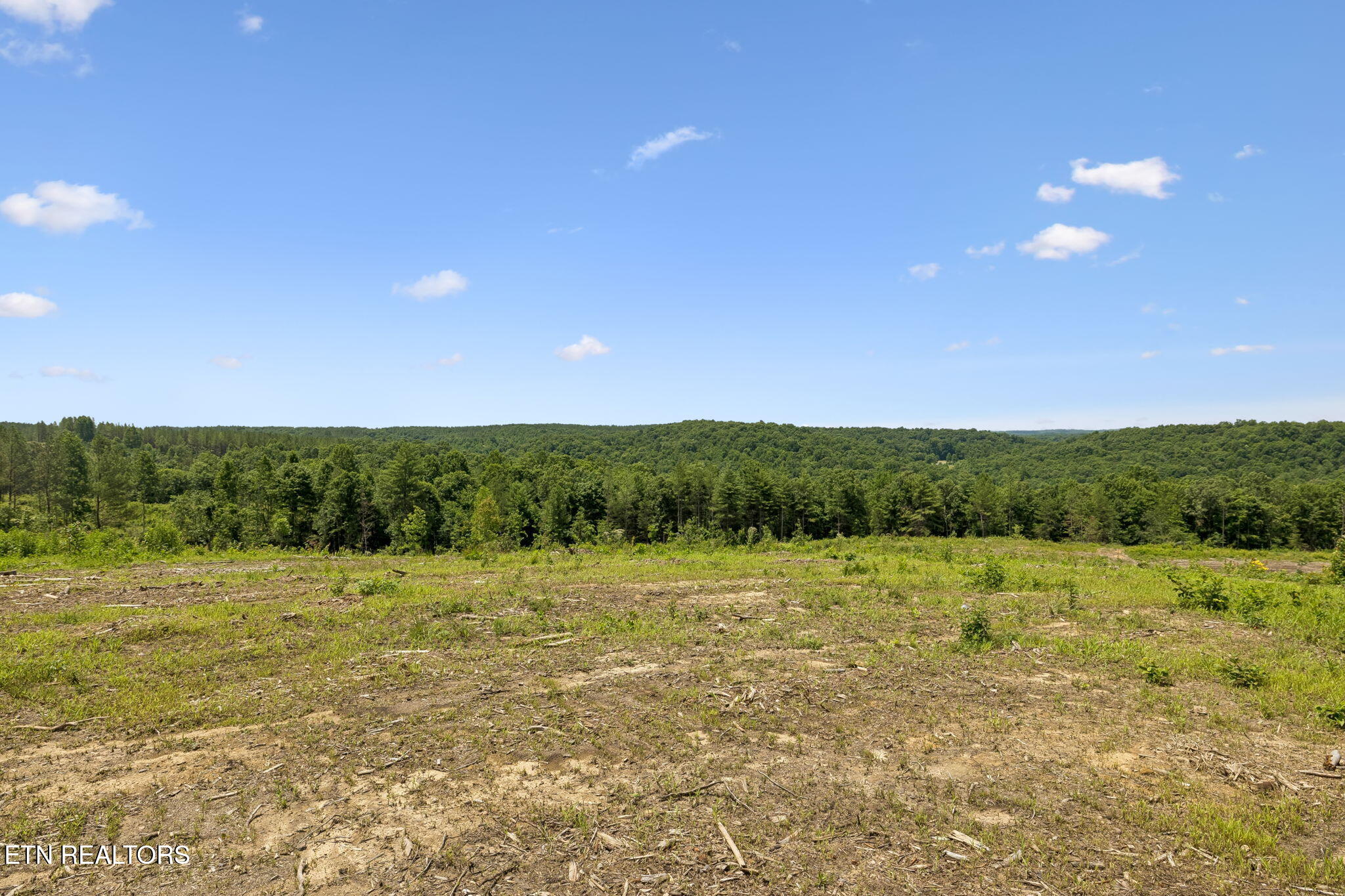 Nydeck Road Robbins TN 37852