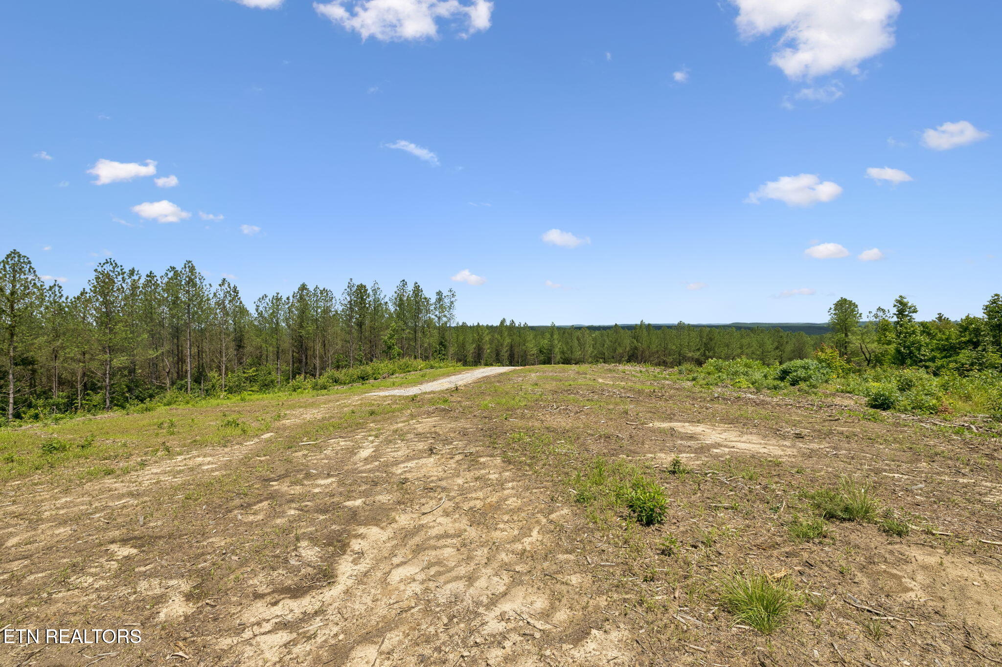 Nydeck Road Robbins TN 37852