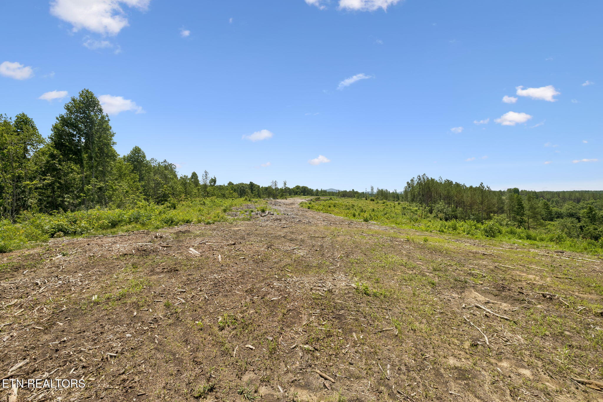 Nydeck Road Robbins TN 37852