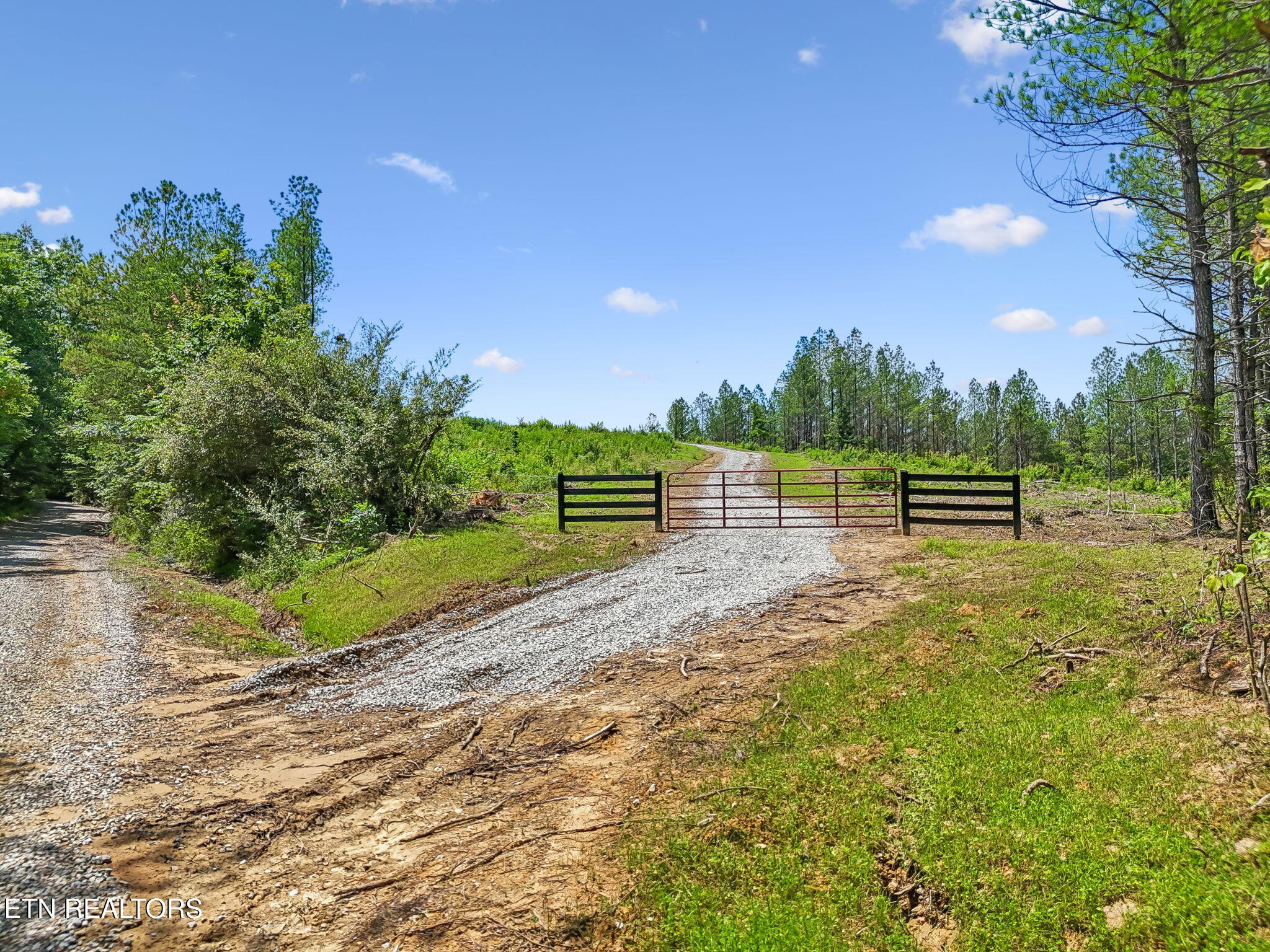 Nydeck Road Robbins TN 37852