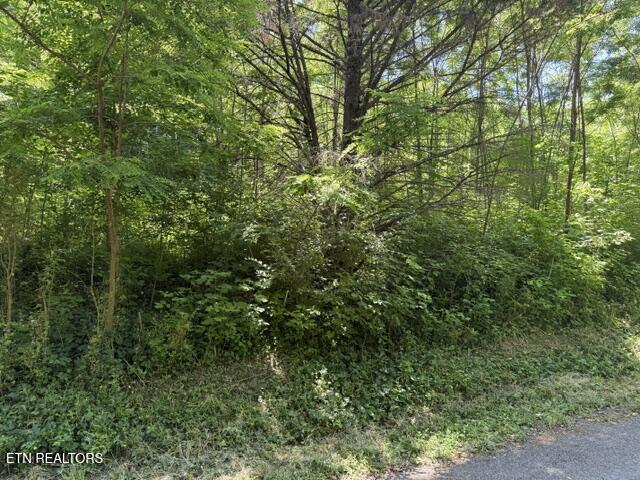 1635 Noe Circle New Market TN 37820