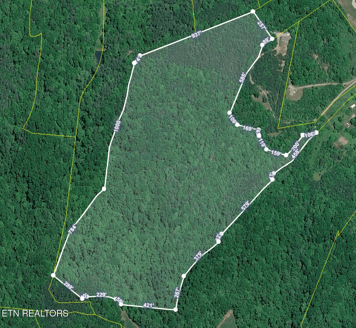 51 Acres Off Rocky Branch Road Rutledge TN 37861